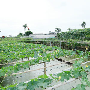 Lưu bản nháp tự động