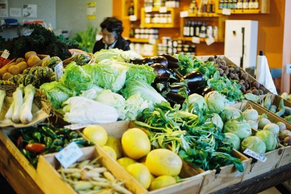 cung cấp nông sản sạch