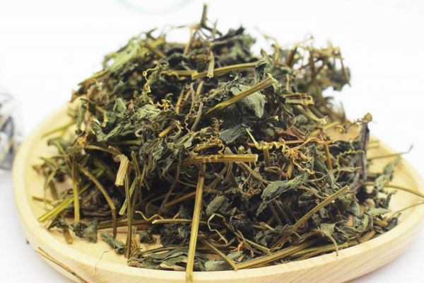 5 Tác dụng của trà giảo cổ lam